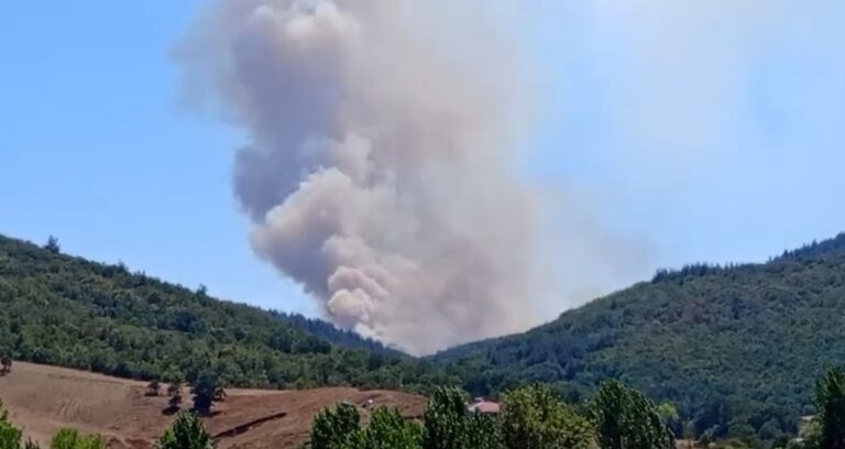 bursada orman yangini mudahale ediliyor 8LBPHBMB