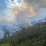 karabukte orman yangini cikti diMbqNfN