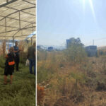 manisada otobus yoldan cikti 35 yolcu olumden dondu bu5HDSHx