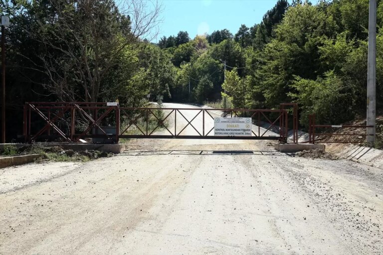 orhaniye mahallesinde orman bariyerleri BVsLlntK