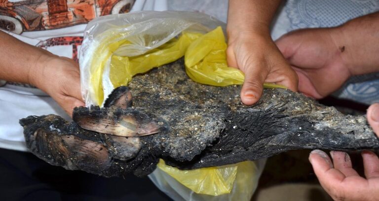 orman yanginlarinda tum birikimlerini kaybettiler QQhwGDZ9