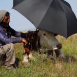 sap hastaliginin pencesinde kivranan ardahanda caresizligin fotografi uEsQnCyg