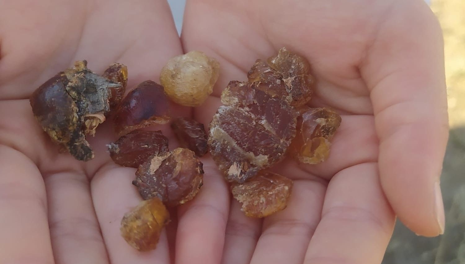 bolge halki tarafindan sifa kaynagi olarak tanimlaniyor XOU9KJtk