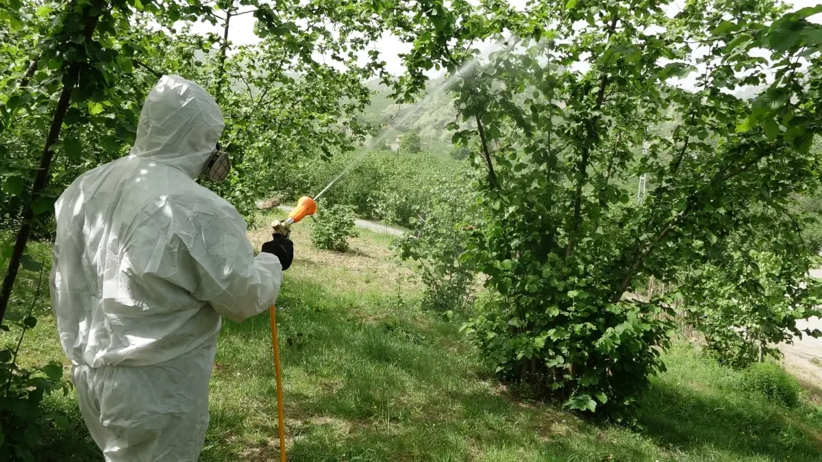 findik tariminda kuraklik alarmi fbuyWlqQ.jpg