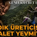 Avrupa 4 gunluk mesaiyi tartisirken karadenizde emege bicilen deger sefalet yevmiyesi 1101 tl xMa2ydlU
