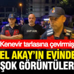 Ezel akayin evinden pes dedirten goruntuler kenevir tarlasina cevirmis gZwJQsVf