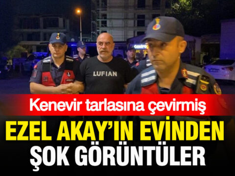 Ezel akayin evinden pes dedirten goruntuler kenevir tarlasina cevirmis gZwJQsVf