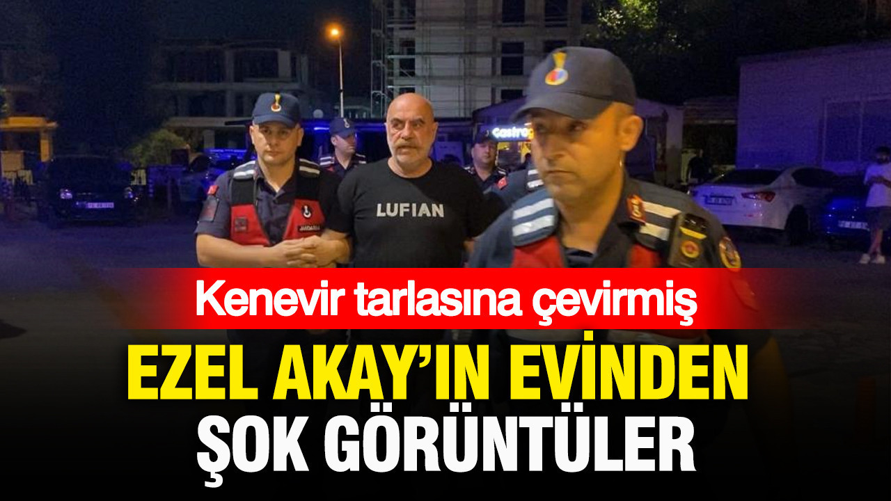 Ezel akayin evinden pes dedirten goruntuler kenevir tarlasina cevirmis gZwJQsVf
