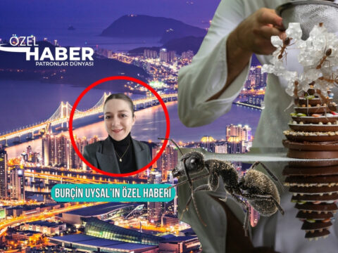 Haber gorseli
