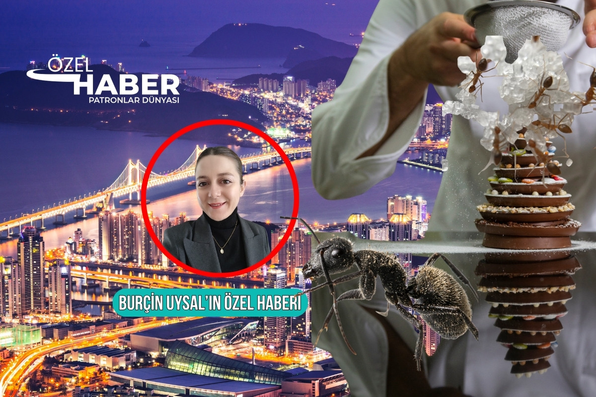 Michelin yıldızlı restoranda ‘karıncalı tatlı’ skandalındaki yeni gelişmeler PD’de; 12 bin 274 porsiyon sattı, milyonluk gelir elde etti Haber gorseli