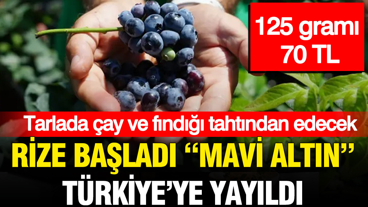 Gram gram servet: 125 gramı 70 TL olan “mavi altın” Türkiye’yi sardı Haber gorseli