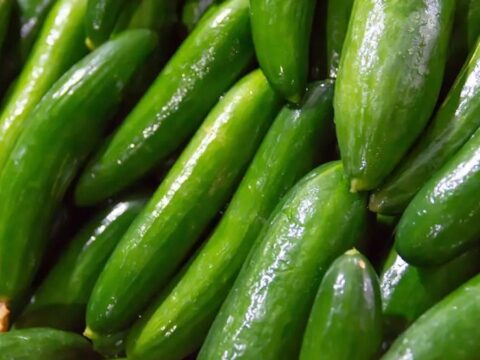 Salataliklar kuruduysa sakin cope atmayin salataligi suya doyuran hile bulundu UpcKnXZA