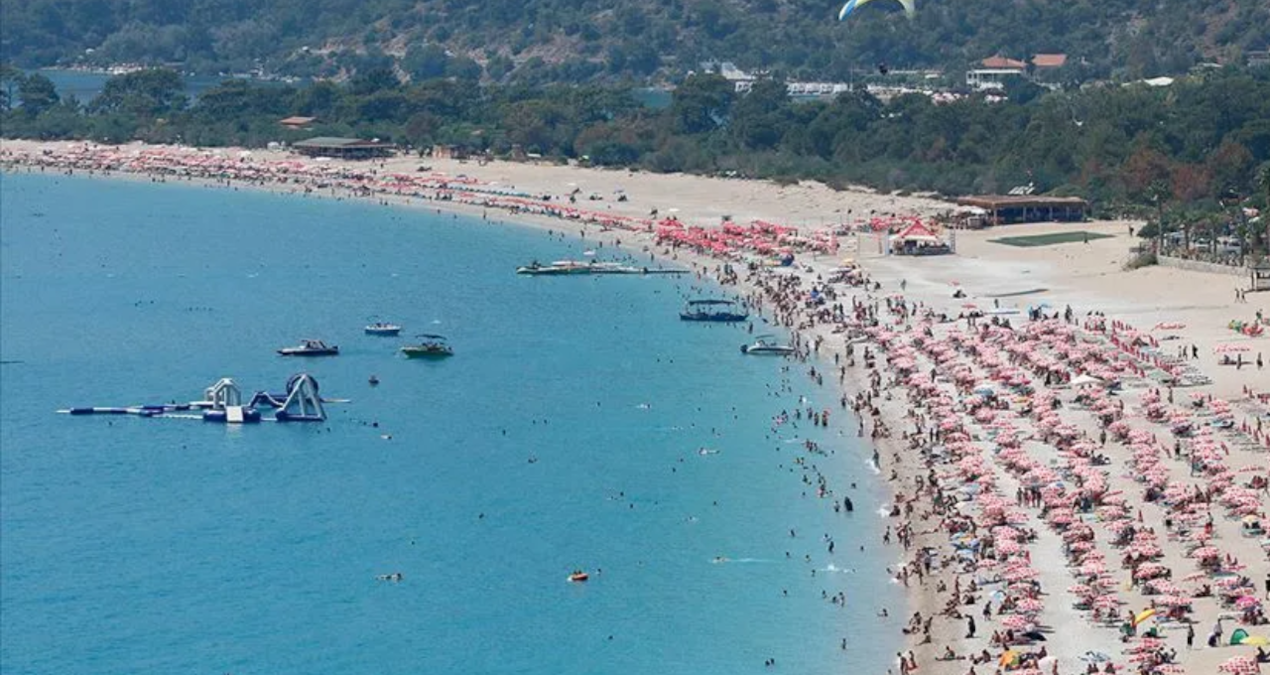 Turkiyenin denizlerinde son iki yilda yuzde 70 artti sagligi tehdit ediyor 8EBWB9QT